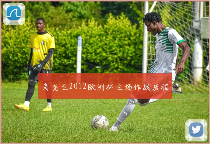 乌克兰2012欧洲杯主场作战历程