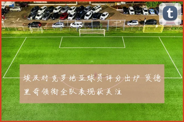 埃及对克罗地亚球员评分出炉 莫德里奇领衔全队表现获关注