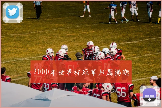 2000年世界杯冠军归属揭晓