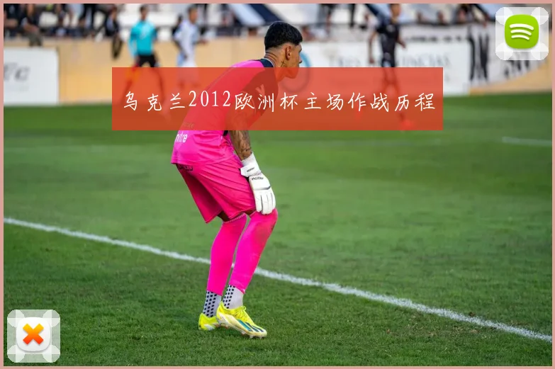 乌克兰2012欧洲杯主场作战历程