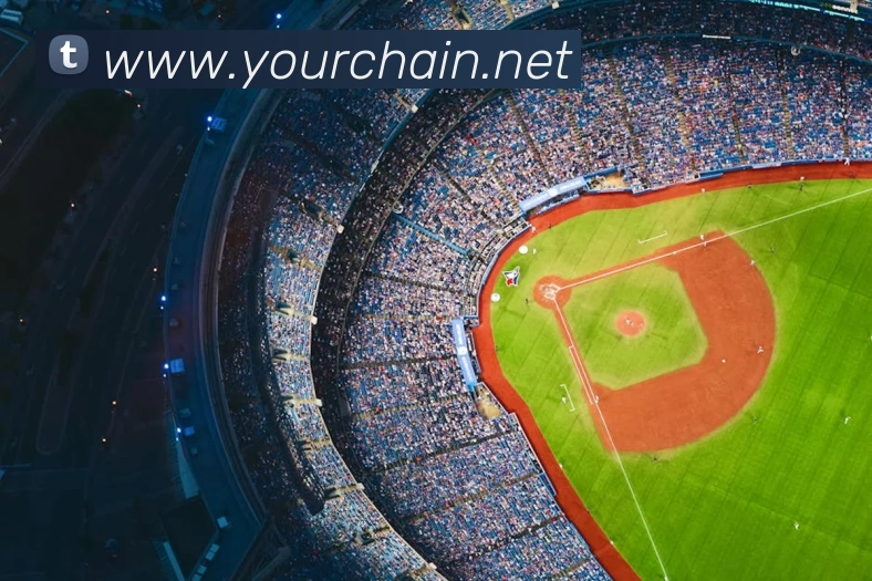 世界杯在线超清直播平台生态图